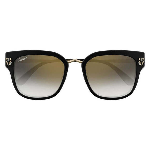 Cartier CT0509SA-001 Sunglasses Black Acetate Square